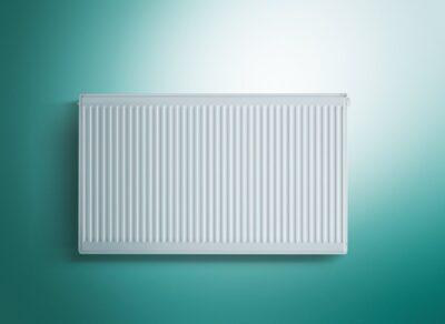 Radiator Vaillant 21X600X1000